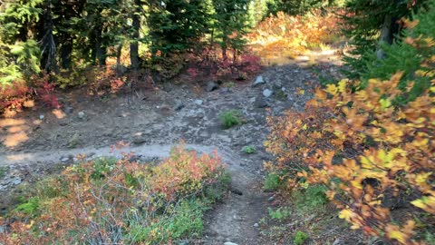 Oregon – Mount Hood – Hiking an Alpine Forest Wonderland – 4K