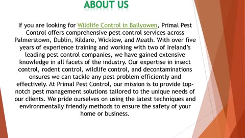 If you are looking for Wildlife Control in Ballyowen