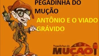 PEGADINHA DO MUÇÃO - ANTÔNIO E O VIADO GRÁVIDO