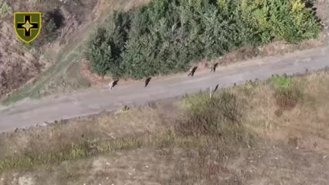 Intense Battles in the Ruins of a Destroyed Village in Donetsk