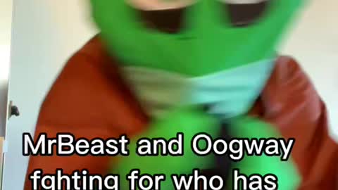 MrBeast and Oogway fighting