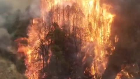 Fire in Forest of China