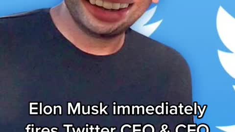 Elon Musk immediately fires Twitter CEO & CFO after takeover