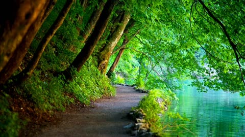 Beautiful Green Landscape