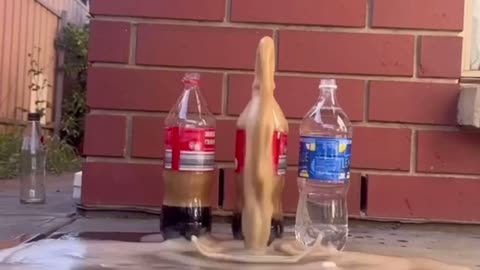 Coca-Cola lemonade vs mentos reverse