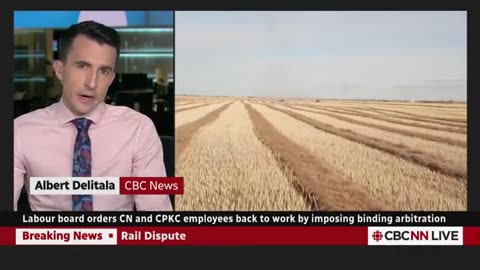 Federal labour board orders rail workers back on the job