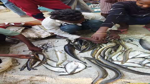 Desi fish bazar