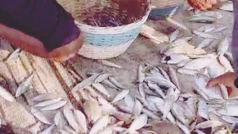 FISHING AT THE BEACHSIDE (GOA)