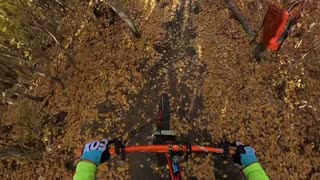 Edmonton Mountain Biking: Pogey Trail