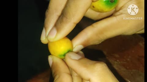 World smallest mango