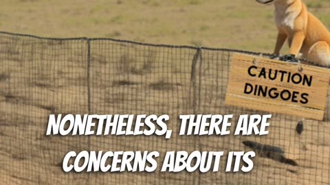 The Dingo Fence | Interesting History