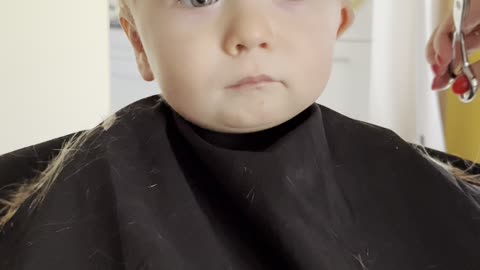 Curious Toddler Has His First Haircut