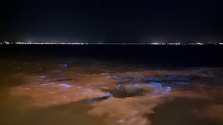 Bioluminescent Algae Bloom in Brisbane, Australia