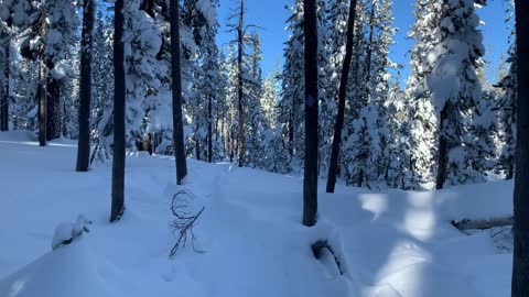 Hiking Towards Swampy Shelter Log Cabin – Central Oregon – Swampy Lakes Sno-Park – 4K