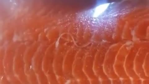 WARNING: Parasites found in packaged Salmon at Costco. (2015)