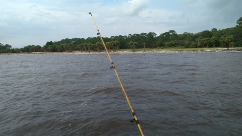 More of Shired island campground fishing