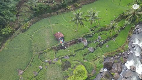 Natural Enchantment of Indonesia