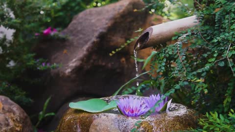 Bamboo Water Fontaine - Relax & Get Your Zen Meditation - White Noise