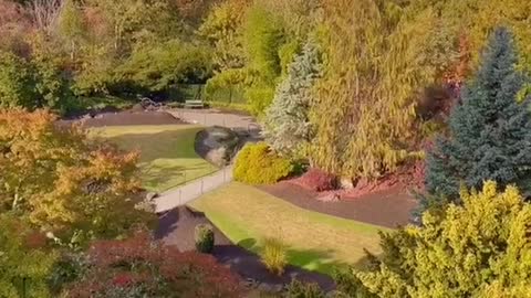 Autumn vibes at Queen Elizabeth Park 🍁