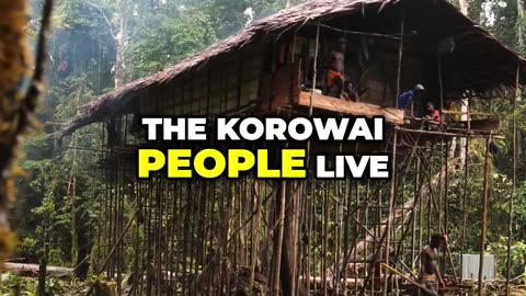 Exploring the Korowai: Life in the Jungle Treeline