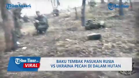 Russian vs Ukrainian Troops Shootout Breaks Out in the Forest