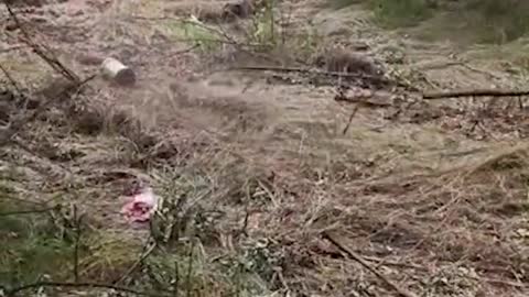 Ukrainian soldier detonates mine with a large stick