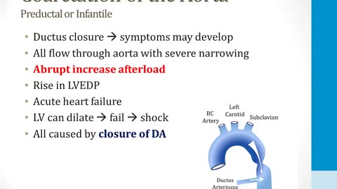 Cardiology - 7. The Developing Heart - 4.Coarctation of the Aorta