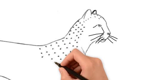 How to draw a cheetah, drawling animals