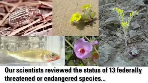 Ventura Fish and Wildlife Office - 2021 Year in Review_3