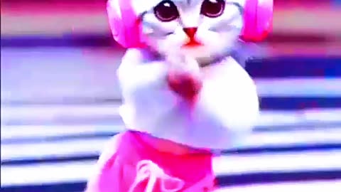 Cat dancing video //dancing cat