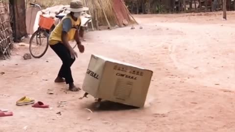 Box PRANK DOGS SO FUNNY