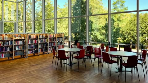 The atmosphere of the forest library is perfect for studying