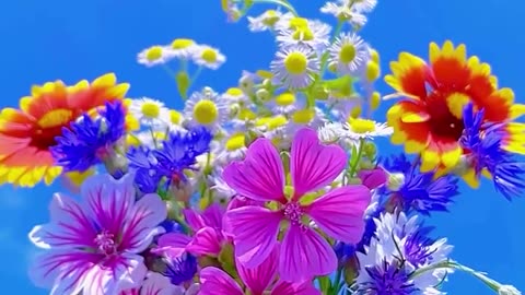 Divine flowers