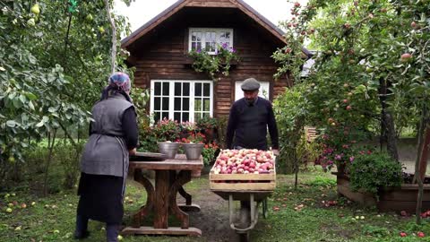 The great apple tree