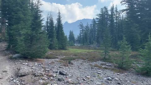 Central Oregon - Three Sisters Wilderness - Obsidian is a useful, durable material