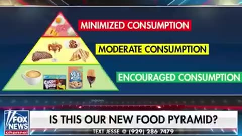 Food Pyramid is a Pyramid Scheme