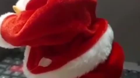 Santa Claus is a beautiful toy for your child