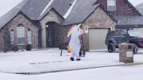 Unicorn Spotted Shoveling Snow