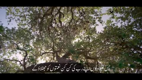 Surah Rahman full with Urdu translation & Explanation - Amazing Quran Visualization