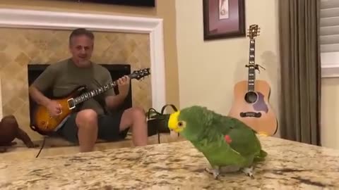 Singing Bird