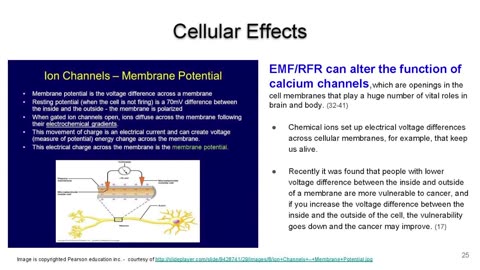 Questioning the Safety of Children's Exposure to Wireless Radiation in Schools