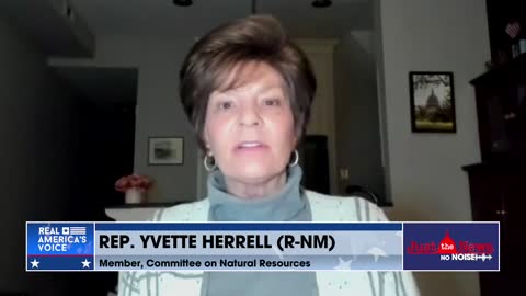 Representative Yvette Herrel explains why she thinks Mitch McConnell has got it all wrong