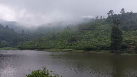 The Nilgiris