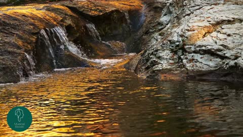 ♫ SOM de CACHOEIRA ♫ SOM de CACHOEIRA para RELAXAR ♫ SOM de CACHOEIRA e PÁSSAROS ♫ SONS da NATUREZA