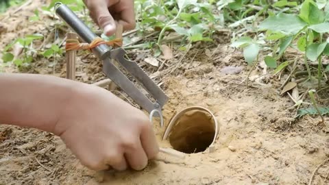 Diy snake trap, how to make snake trap #snaketrap