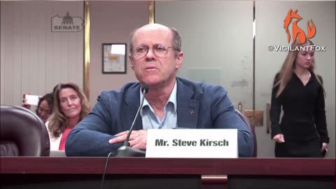 Steve Kirsch Testifies the Truth About All Vaccines to Pennsylvania State Senate