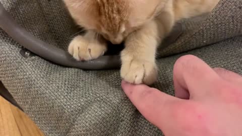 Orange loaf renders bag unusable