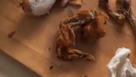 kfc chicken recipe