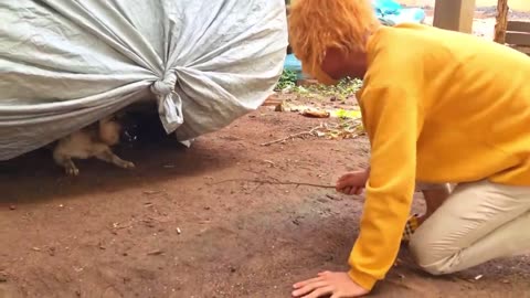 Fake Chucky Prank & Chucky Prank to dog - Troll Funny Prank dog by RoSeak Zin