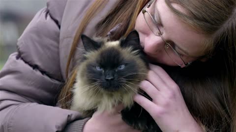 Woman hugging Birman cat. Attractive female person holding cat